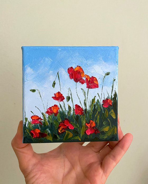 Poppies