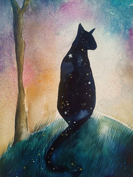 Between Eyes and Stars