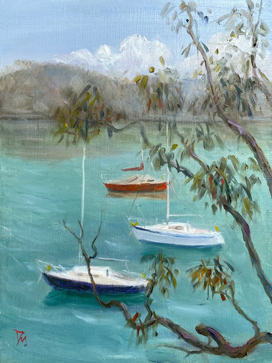 Boats around berry island