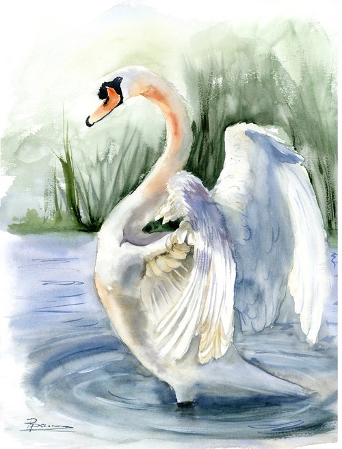 Swan #2  -  Original Watercolor Painting by Olga Shefranov (Tchefranov)