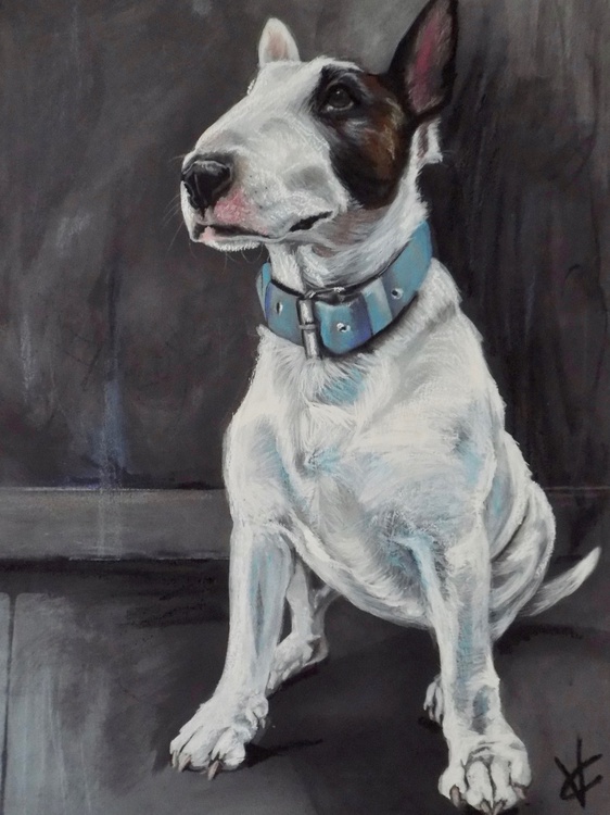 Bull terrier painting called 'The Celebration' Artfinder