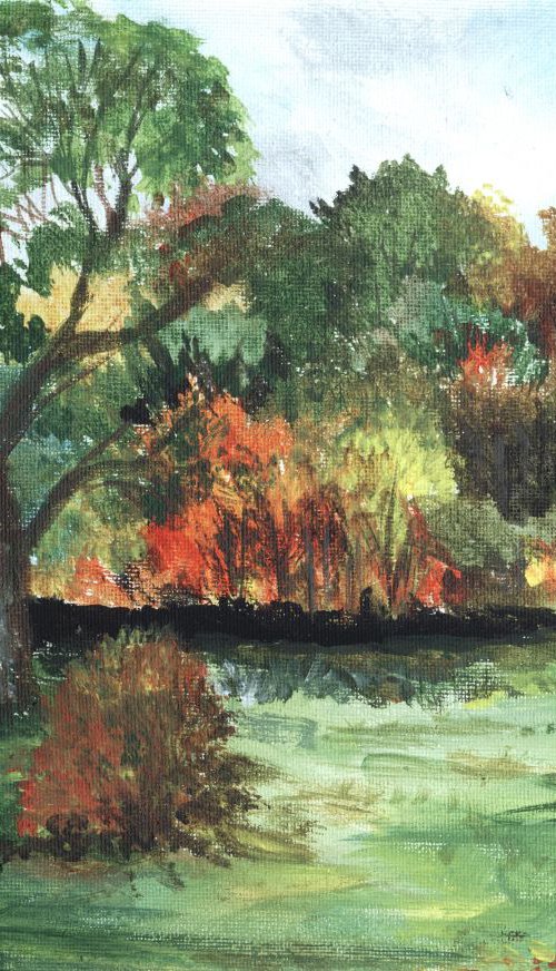 ash tree in autumn by Sandra Fisher