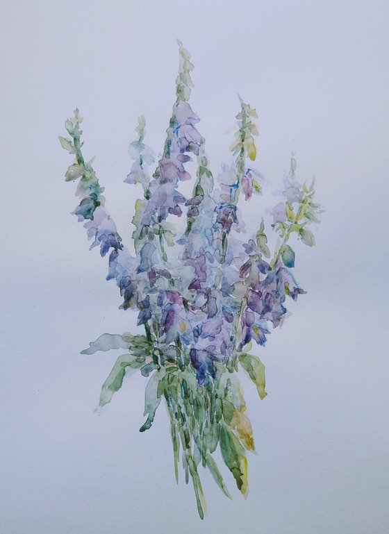 Bellflowers. Original watercolour painting.