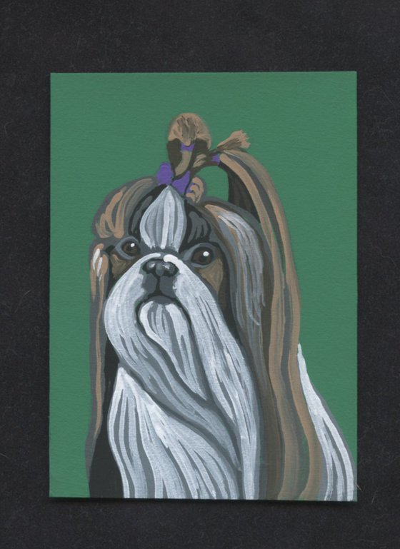 ACEO ATC Original Miniature Painting Shih Tzu Pet Dog Art-Carla Smale