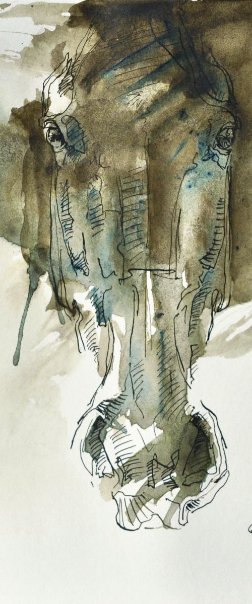 Equine Nude 156 by Benedicte Gele