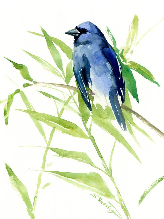 Indigo Bunting, Original watercolor painting