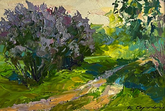 Flowers along the Road