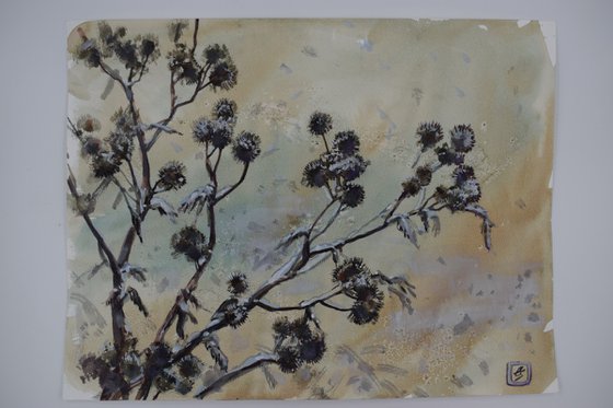 The long winter.Burdock.