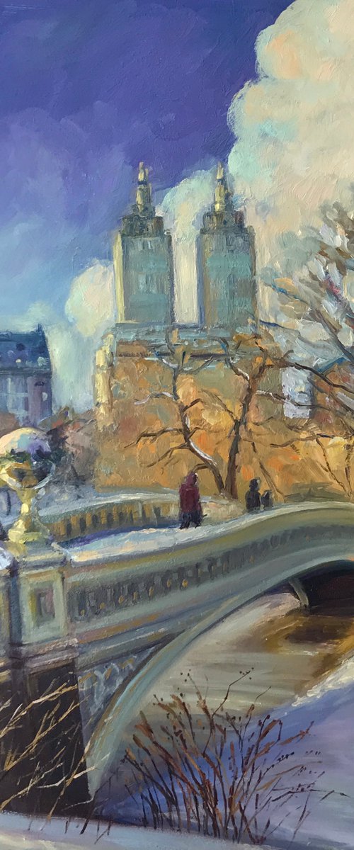 Winter in Central Park by Nataliia Zaharuk