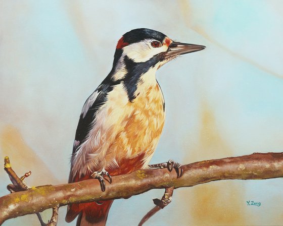 Woodpecker on branch