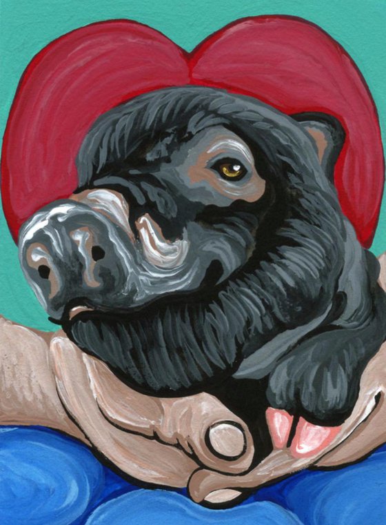 ACEO ATC Original Valentine Painting Black Pig Farm Pet Art-Carla Smale