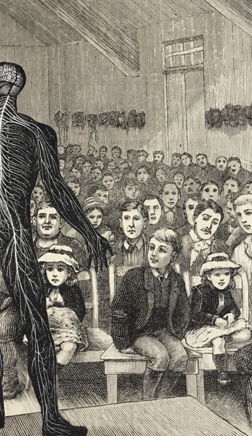 A Full House by Tudor Evans