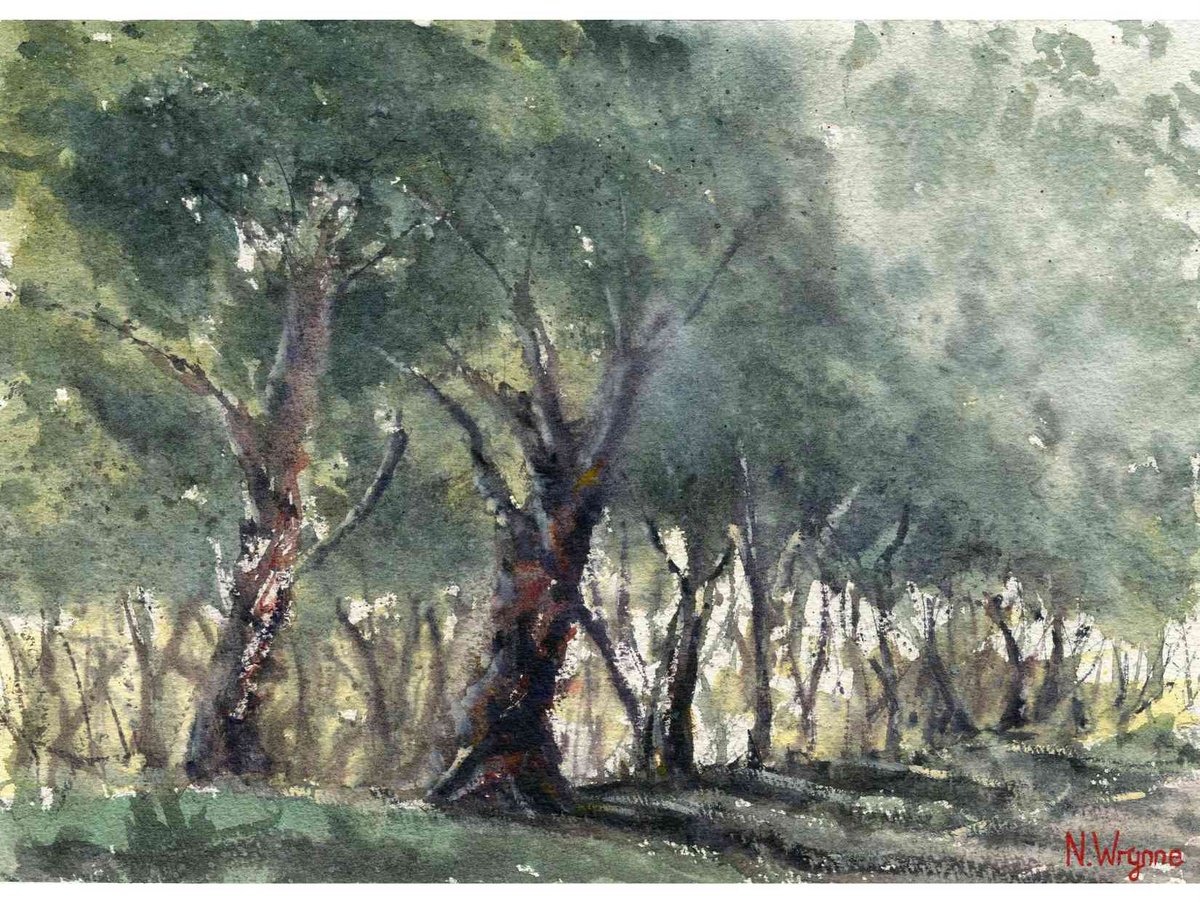 Organic Botanical Watercolour By Neil Wrynne, 15 X 11", By The Edge Of The Trees, Original Artwork