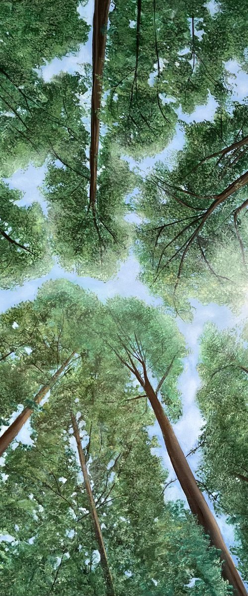 Heaven's Eye by Victoria Obolensky