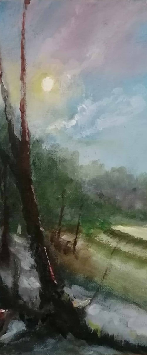 Nature's Light by Alan Harris