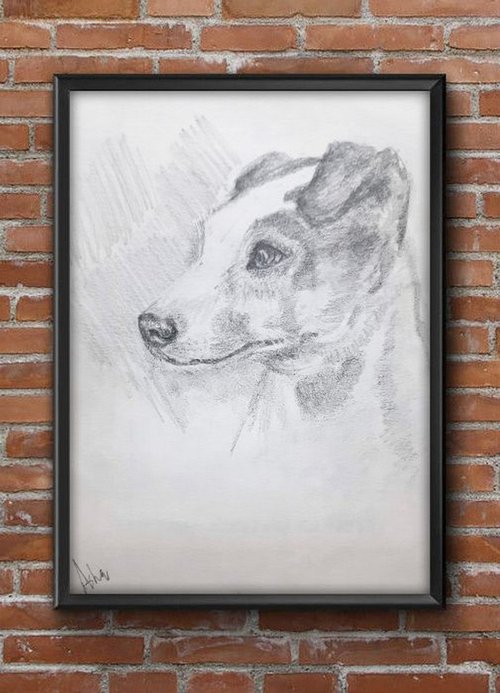 Jack Russel Terrier Portrait  -Pet Dog sketch by Asha Shenoy
