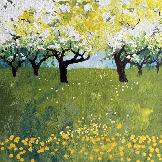 Cherry Blossom Dandelion orchard