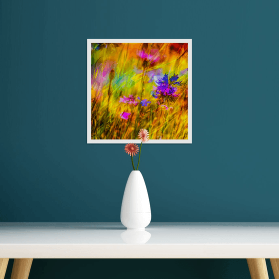 Summer Meadows #10. Limited Edition 1/25 12x12 inch Abstract Photographic Print.