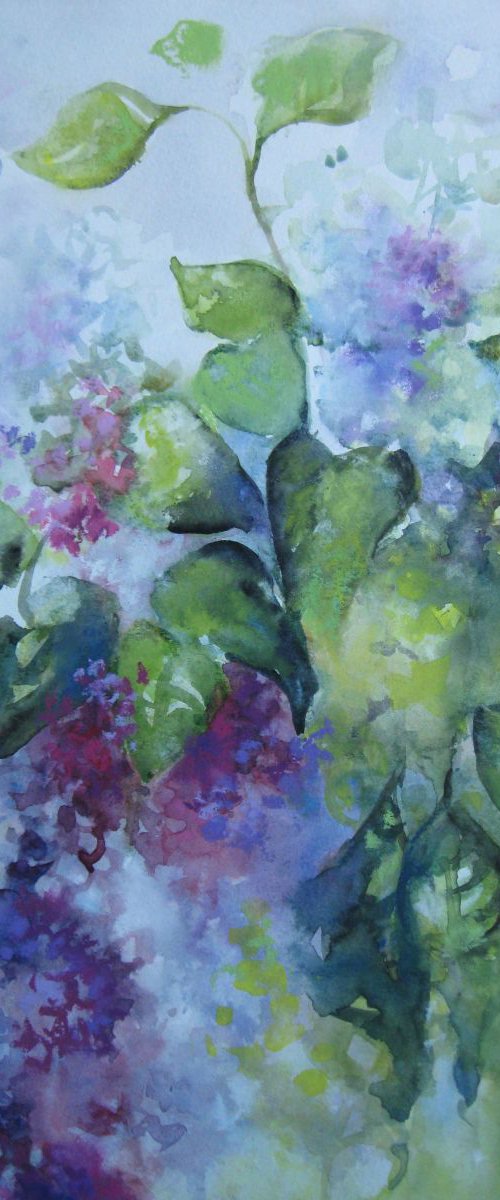 Spring colours by Elena Oleniuc