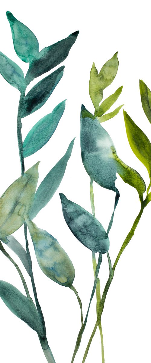 Plant Study No. 99 by Elizabeth Becker