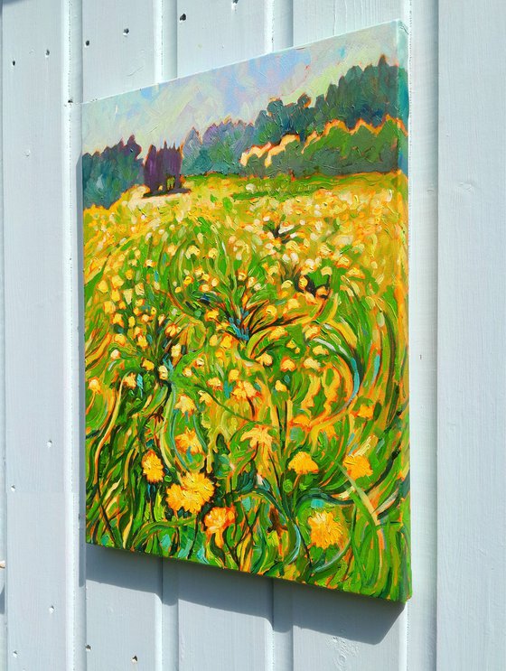 Dandelion Spring Landscape