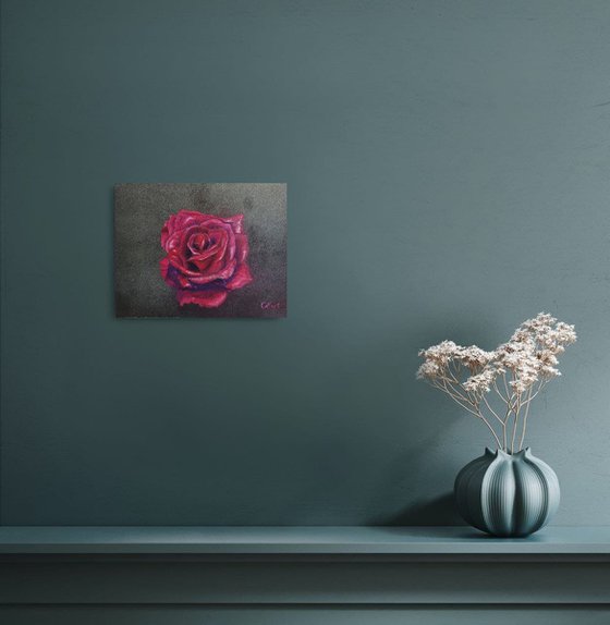 Perfect velvet burgundy rose.  24x18 cm. Plein Air. Perfetta rosa bordeaux vellutata