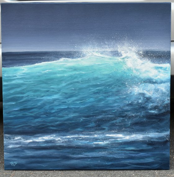 "Secrets that the waves Hide" SPECIAL PRICE!!!