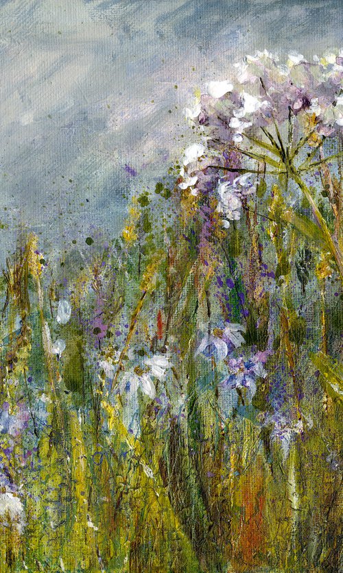 Summer meadow by Suzsi Corio