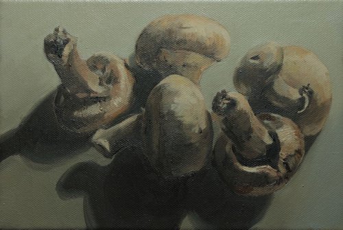 Mushroom Still Life 2 by Alex Jabore