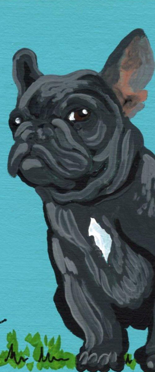 French Bulldog by Carla Smale