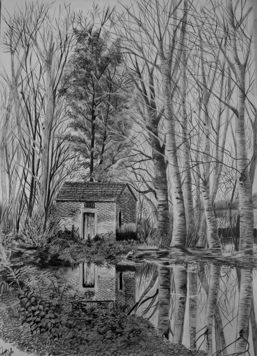 Photorealistic Landscape Pencil Drawing By Laura Muolo, 12 X 16", The Shelter, Original Artwork