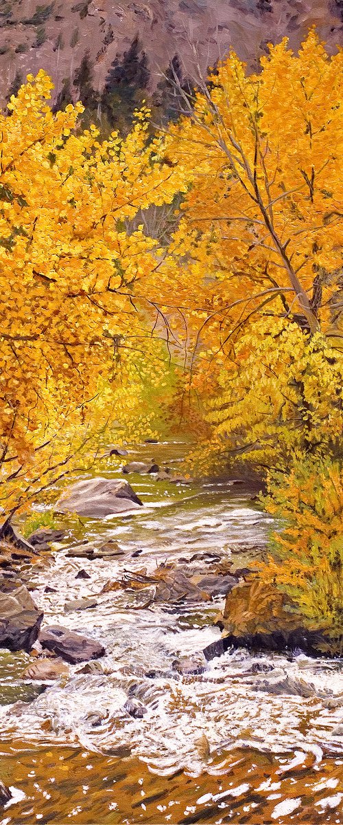 Fall on Bear Creek by Daniel Fishback