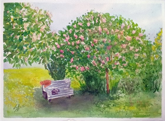 Sleep in a Spring Garden