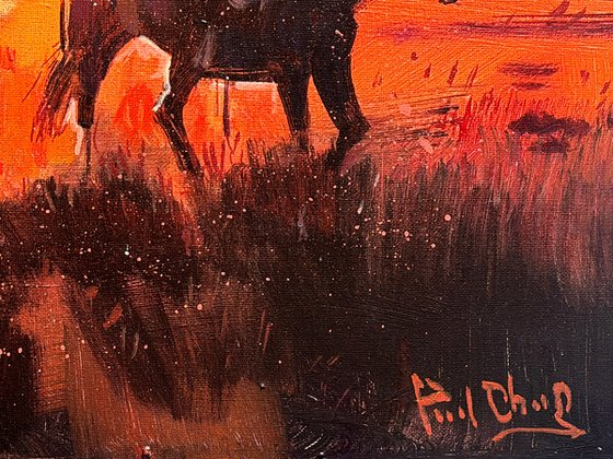 Into the Sun