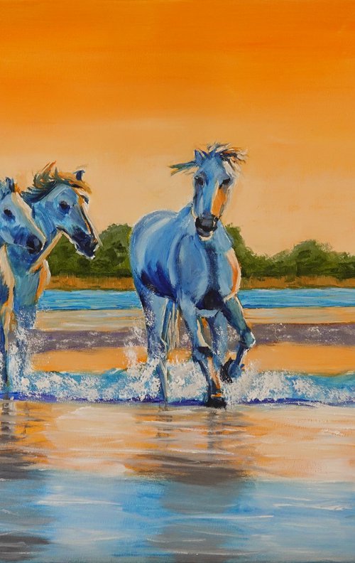 Splashing Horses at Sunset by Marion Derrett