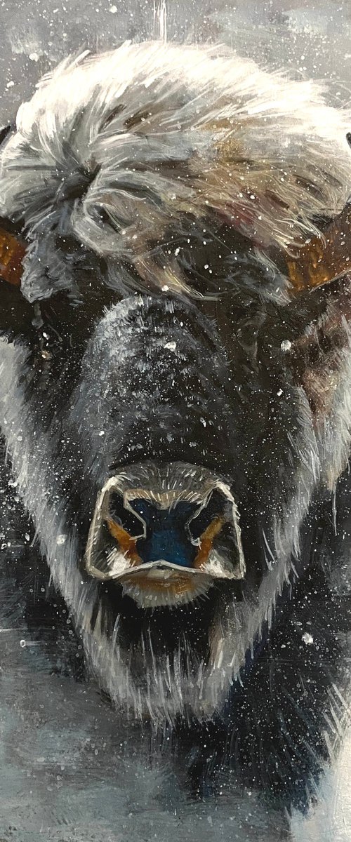 King of the Snow Plains by Paul Cheng