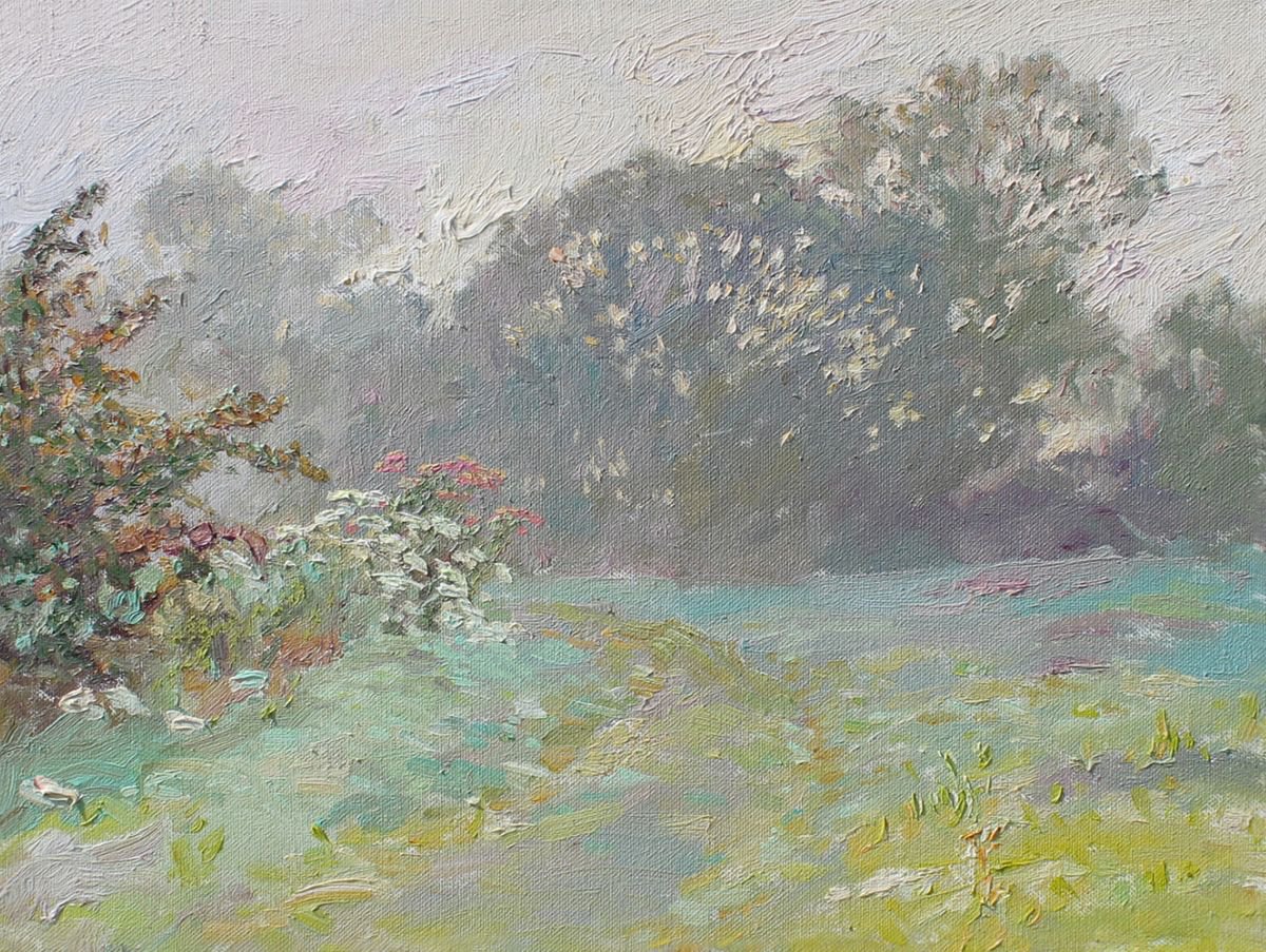 Impressionistic Landscape Oil Painting By Svetlana Koval (Gunchenko), 16 X 12", Morning. Mist, Original Artwork