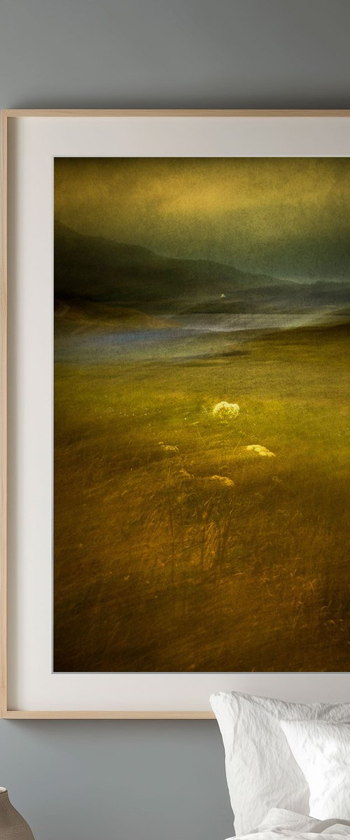 Sing the Wind by Lynne Douglas