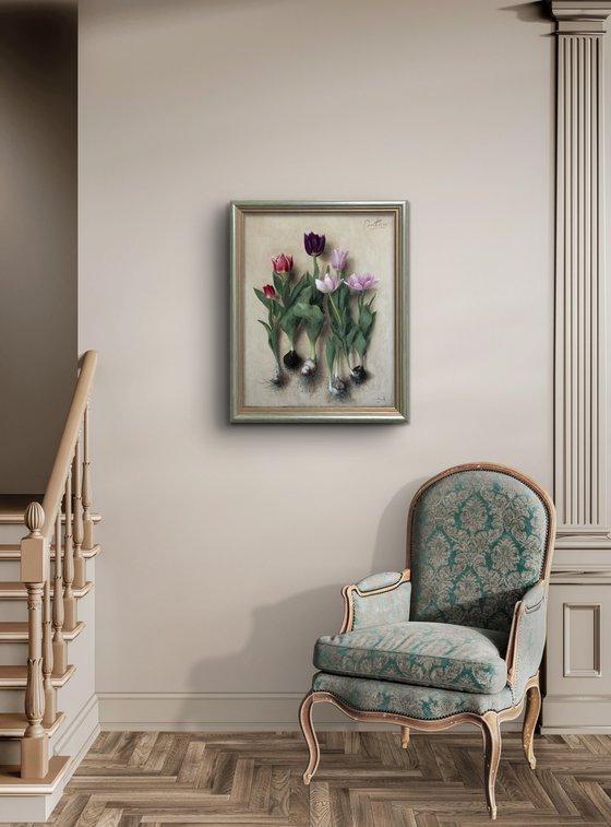 Tulip bulbs 02