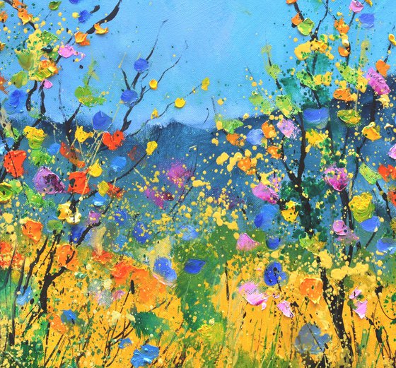 Summer wild flowers   -  6523
