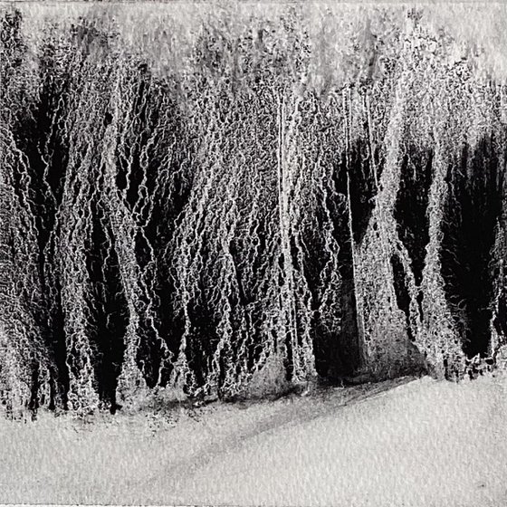 Winter Walk