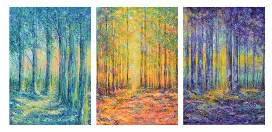 Beech Trees Triptych