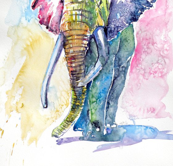 Colorful elephant III