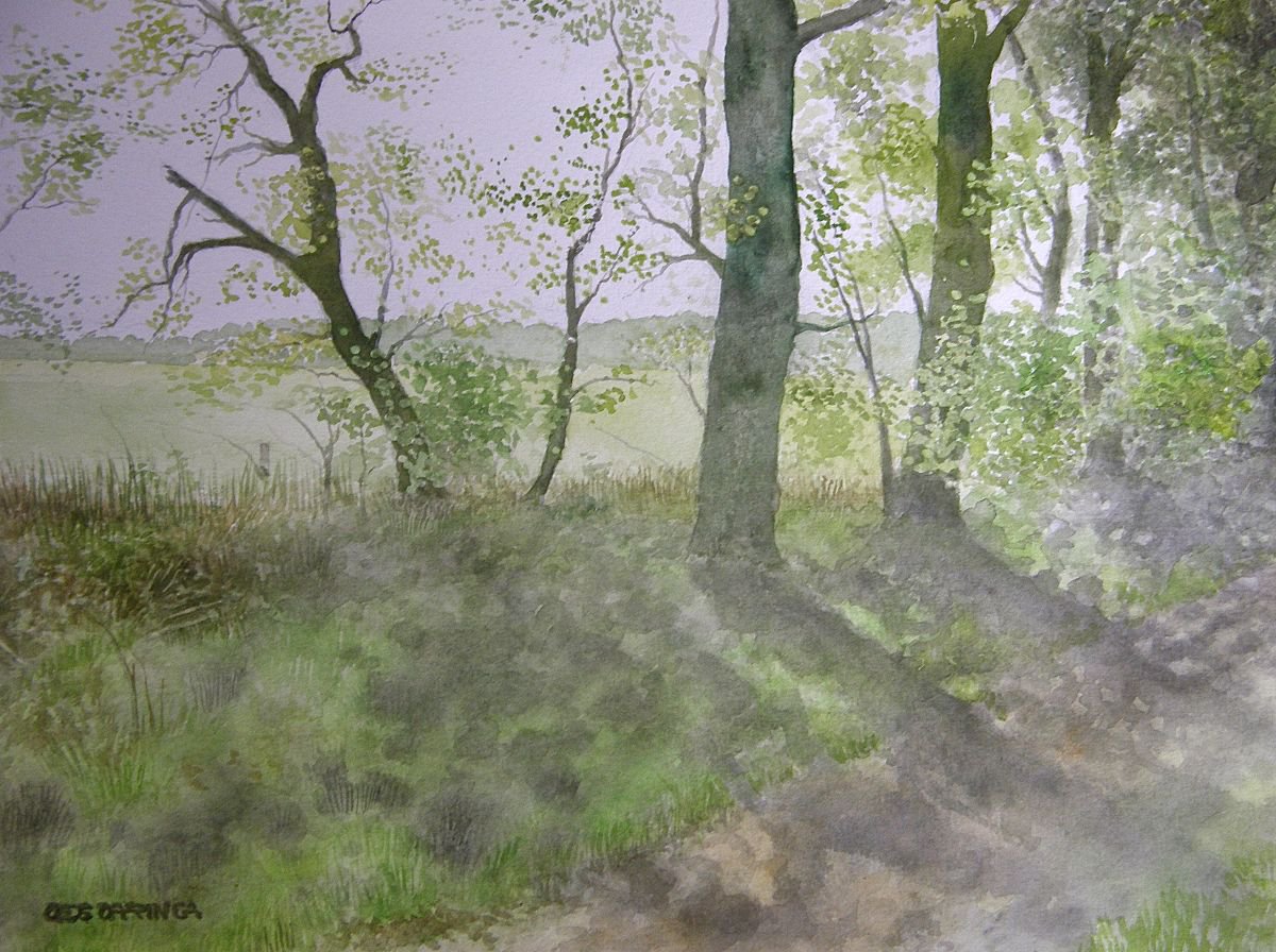 Wooded bank in late spring by Oeds Offringa