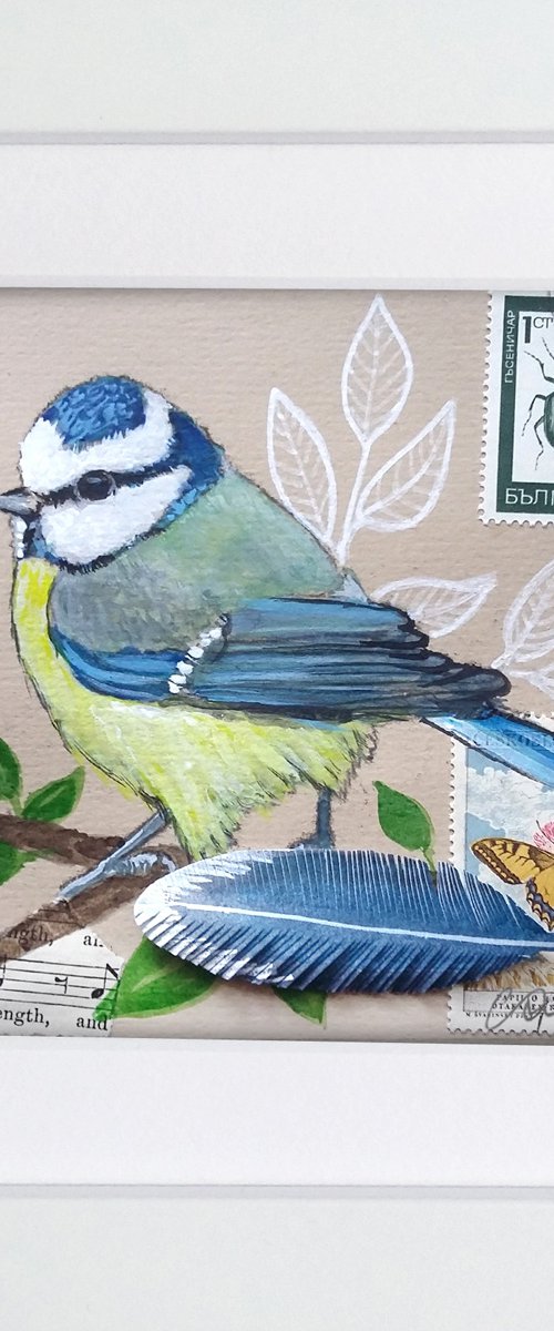 The blue tit feather  (framed and ready to hang) by Carolynne Coulson