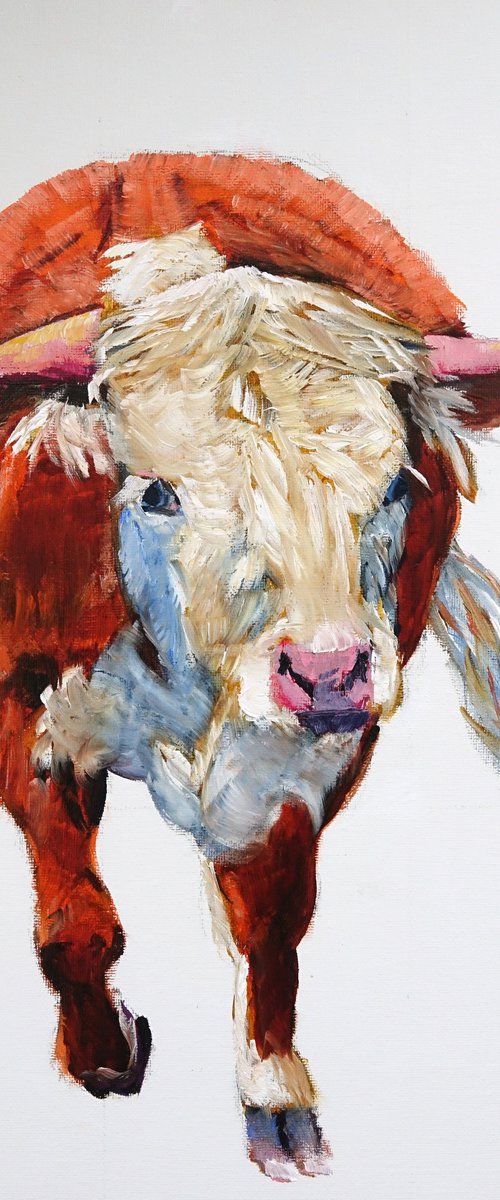 Hereford Bullock 1 by Marion Derrett