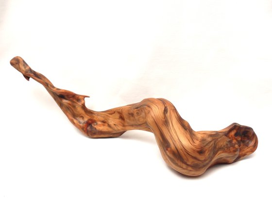 Mist Dragon - Abstract Motion Sculpture