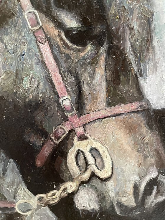 Horse portrait