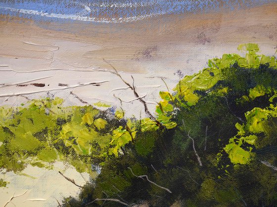 Australian Sandy  Beach dunes