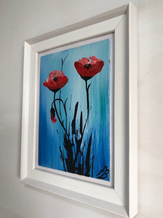 Red Poppies in a frame